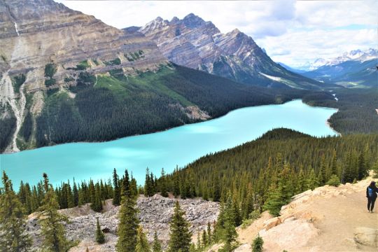 Canadiske Rocky Mountains