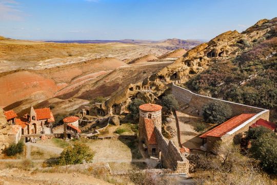 Davit Gareja