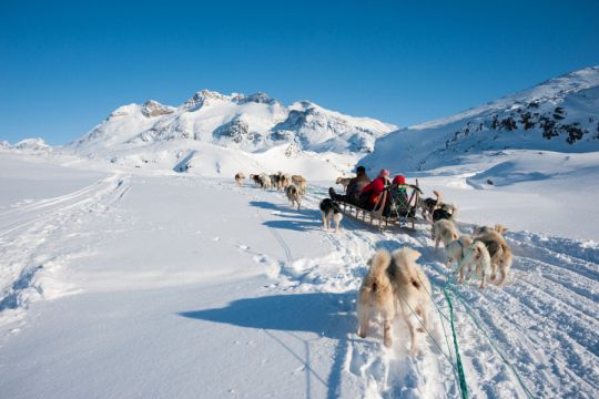 Hundeslæde på Grønland