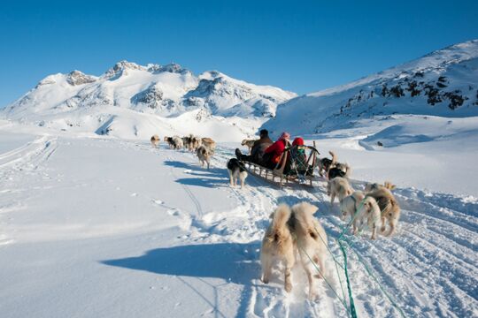 Hundeslæde på Grønland