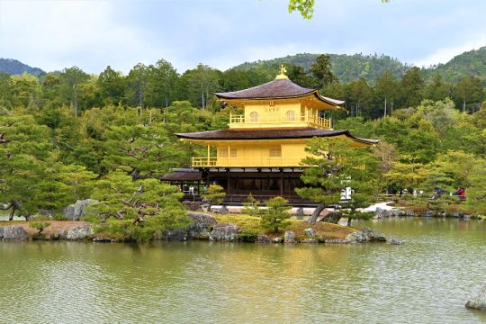 Kinkakuji Shogun