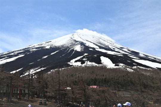 Mount Fuji