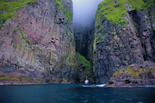 Færøernes vilde natur