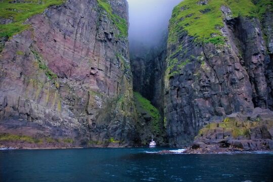 Færøernes vilde natur