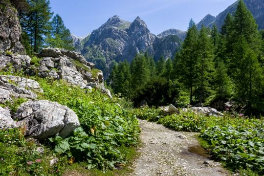 Smuk natur med vandrestier omkring Wagrain