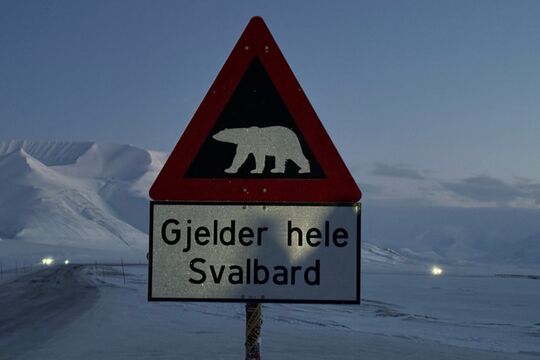 Advarsel Isbjørne