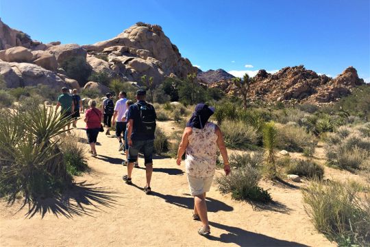 Joshua Tree National Park