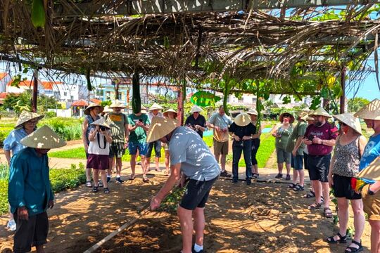 Vietnam lær om landbrug