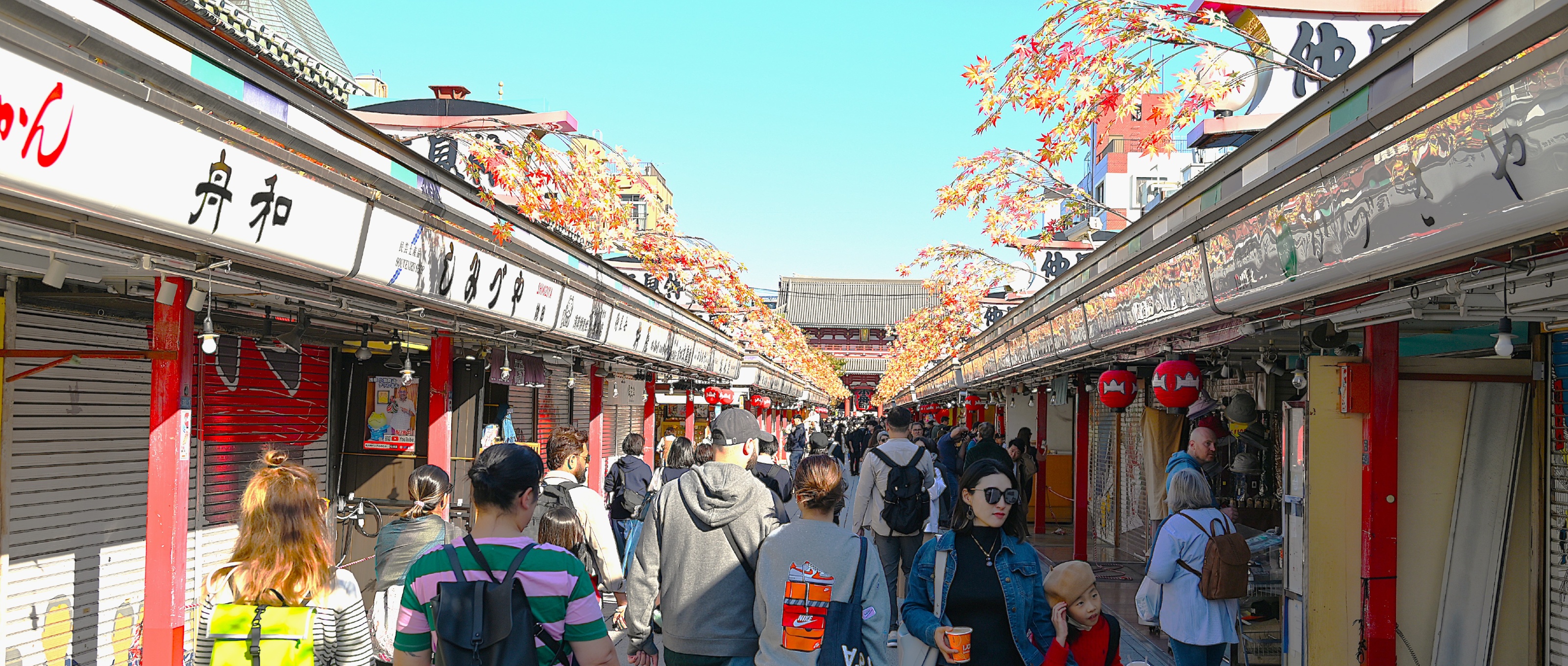 Hvad skal man se i Tokyo?
