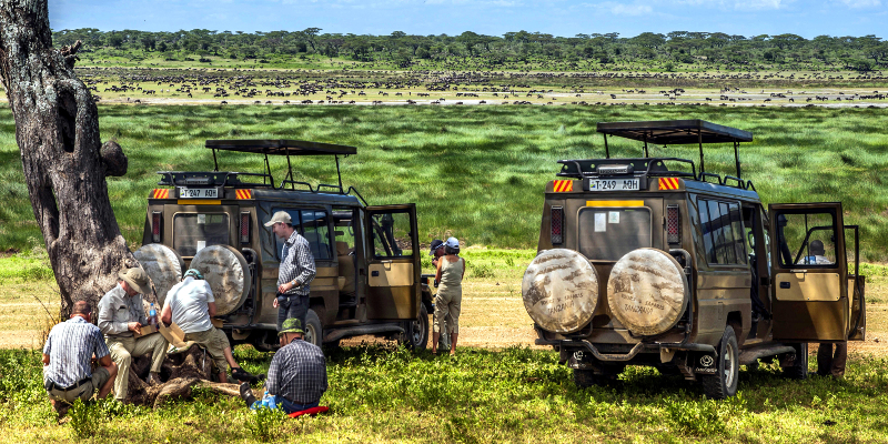 Helddags safari
