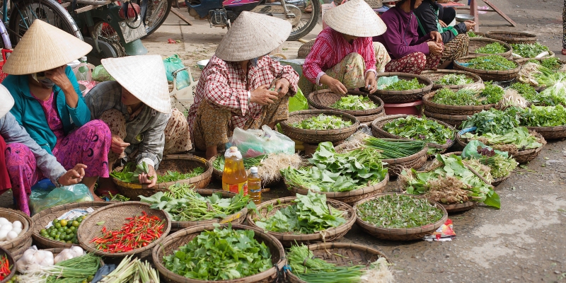 Madmarked Hoi An